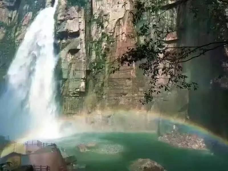 想吃面包不用买,简单几步,教你做出松软又香甜的火腿肠芝士面包-全球最热门的红迪网平台